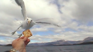 Lake District | StreamHub