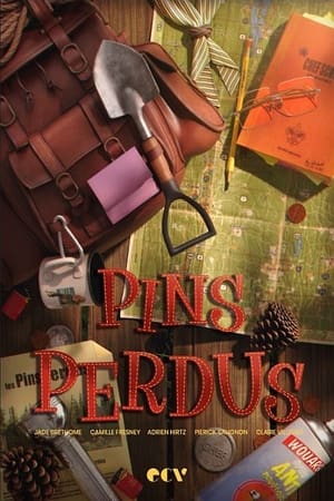 Image Pins perdus