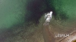 watch Kamchatka Bears. Life Begins 2018 online free