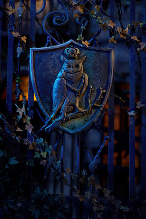 <Images posters