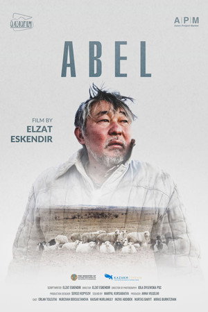 Abel 13