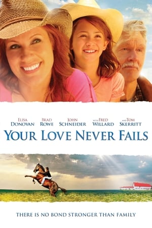 Your Love Never Fails (2011) | Team Personality Map