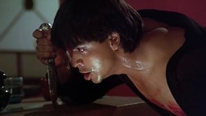 Darr (1993) With Sinhala Subtitles | සාහසික ආදර කතාවක්.. [සිංහල උපසිරසි සමඟ]