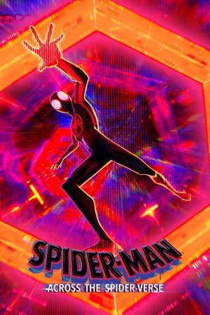 poster Spider-Man: Across the Spider-Verse