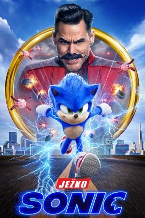 Poster Ježko Sonic 2020