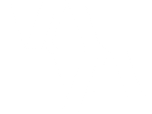 Logo Vaya Films