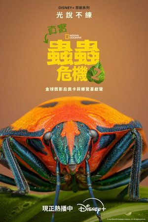 A Real Bug's Life 85