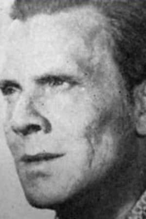 Aleksei Temerin