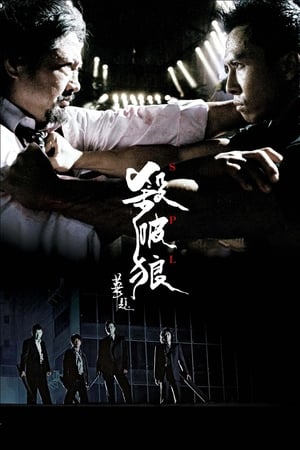 Poster 殺破狼 2005