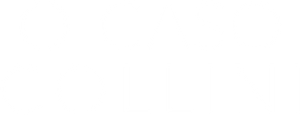 The Collini Case — Logos 2