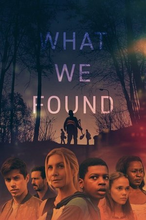 What We Found What We Found
