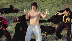 Kung Pow: Enter the Fist