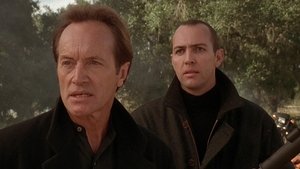 2 pelicula caseria operacion