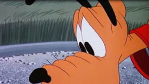 Pluto et le bourdon