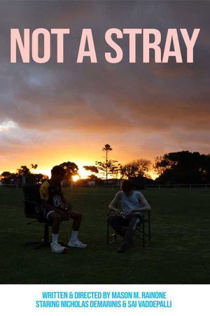 Not a Stray (2021)