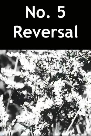 Image No. 5 Reversal