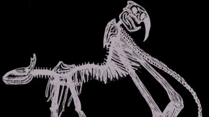 THE THING COLUMBUS BROUGHT