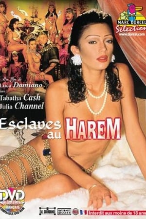 Poster Esclaves Au Harem (1995)