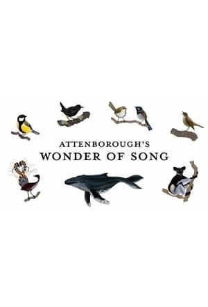 Poster Attenborough's Wonder of Song (2022)