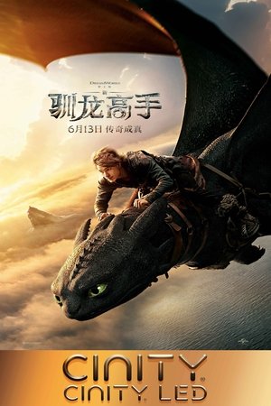 poster How to Train Your Dragon