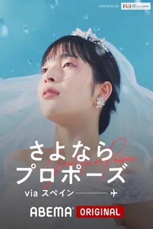 さよならプロポーズ - Season 4