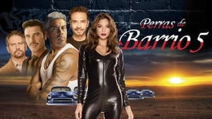 Perras de barrio 5