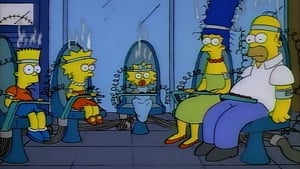 The Simpsons There's No Disgrace Like Home