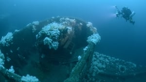Shipwreck Secrets Curse of the Armada Graveyard