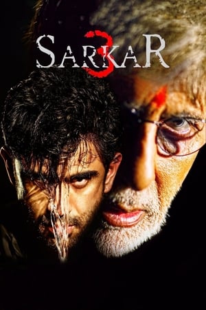 Poster Sarkar 3 2017