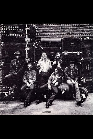 Poster The Allman Brothers Band - The 1971 Fillmore East Recordings 2014