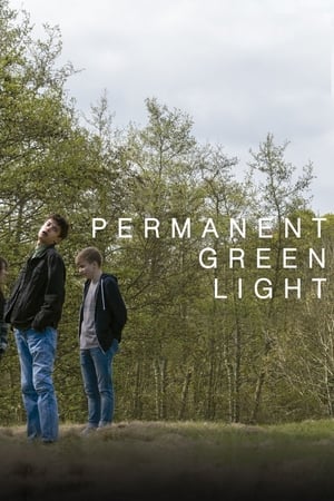 Permanent Green Light poster