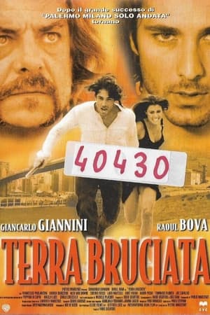 Poster Terra bruciata (1999)