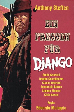 Viva! Django 31