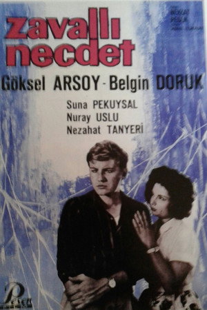 Zavallı Necdet 2