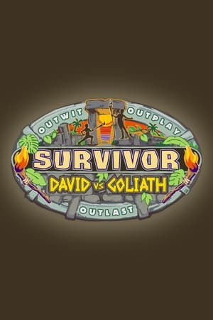 David vs. Goliath