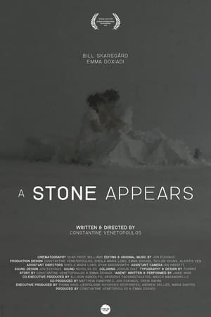 A Stone Appears 2016