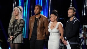 American Idol: 2×10