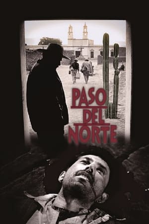 Poster Paso del norte 2002