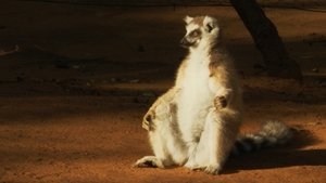 Madagascar