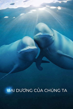 Image Đại Dương Của Chúng Ta