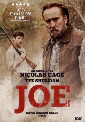 Poster Joe 2014