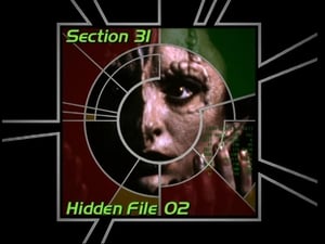 Image Section 31: Hidden File 02 (S03)