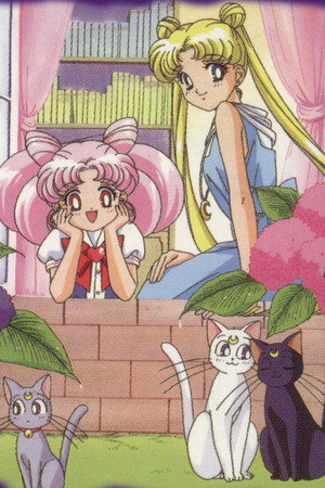 Постер мультсериала «Sailor Moon (1995 - 2000)» — (13 из 32)