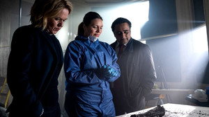Unforgotten: 5×1