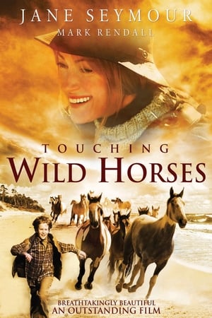 Poster Touching Wild Horses 2011