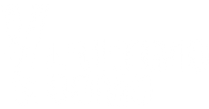 Y: El último hombre — Logos 6