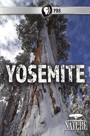 Poster Nature: Yosemite 2017