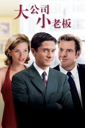 Image 大公司小老板