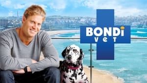 poster Bondi Vet