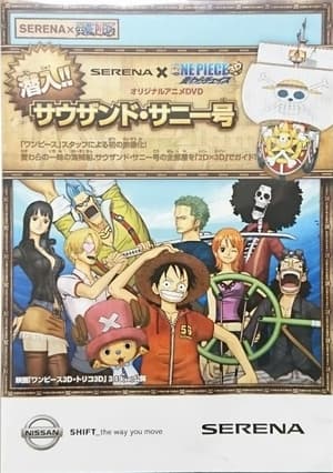 One Piece : Infiltration! Thousand Sunny!